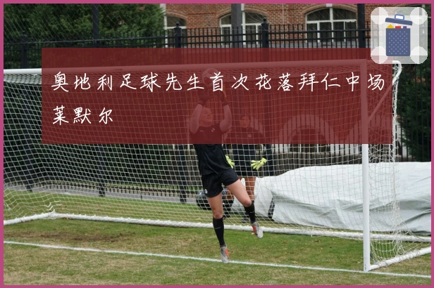 奥地利足球先生首次花落拜仁中场莱默尔