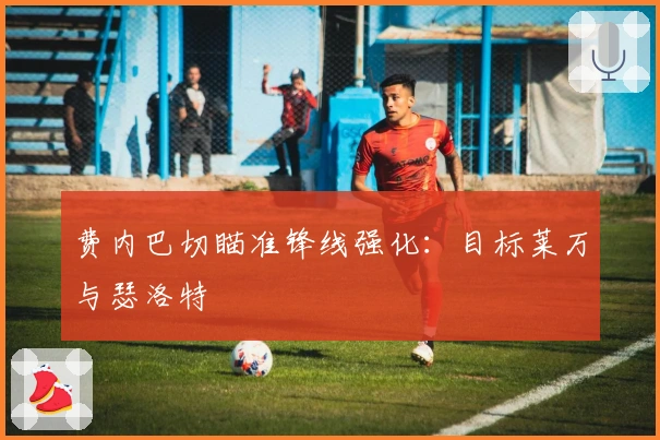 费内巴切瞄准锋线强化：目标莱万与瑟洛特