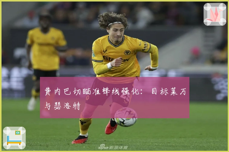 费内巴切瞄准锋线强化：目标莱万与瑟洛特
